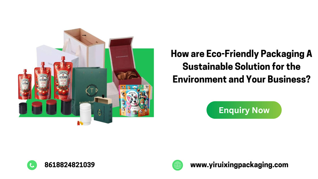 How are Eco-Friendly Packaging A Sustainable Solution for the Environment and Your Business?