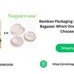 Bamboo Packaging vs Sugarcane Bagasse: Which One Should You Choose?