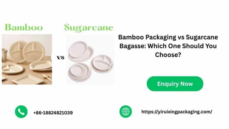 Bamboo Packaging vs Sugarcane Bagasse: Which One Should You Choose?