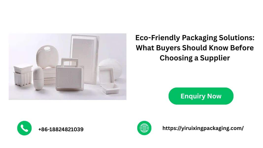 Eco-Friendly Packaging Solutions: What Buyers Should Know Before Choosing a Supplier