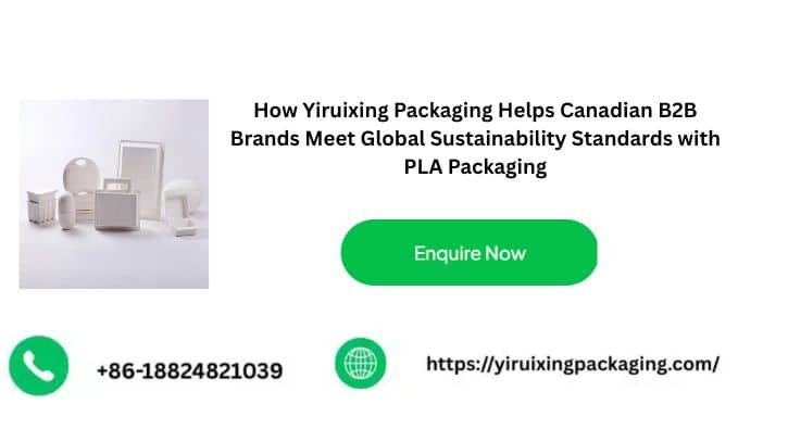 How Yiruixing Packaging Helps Canadian B2B Brands Meet Global Sustainability Standards with PLA Packaging